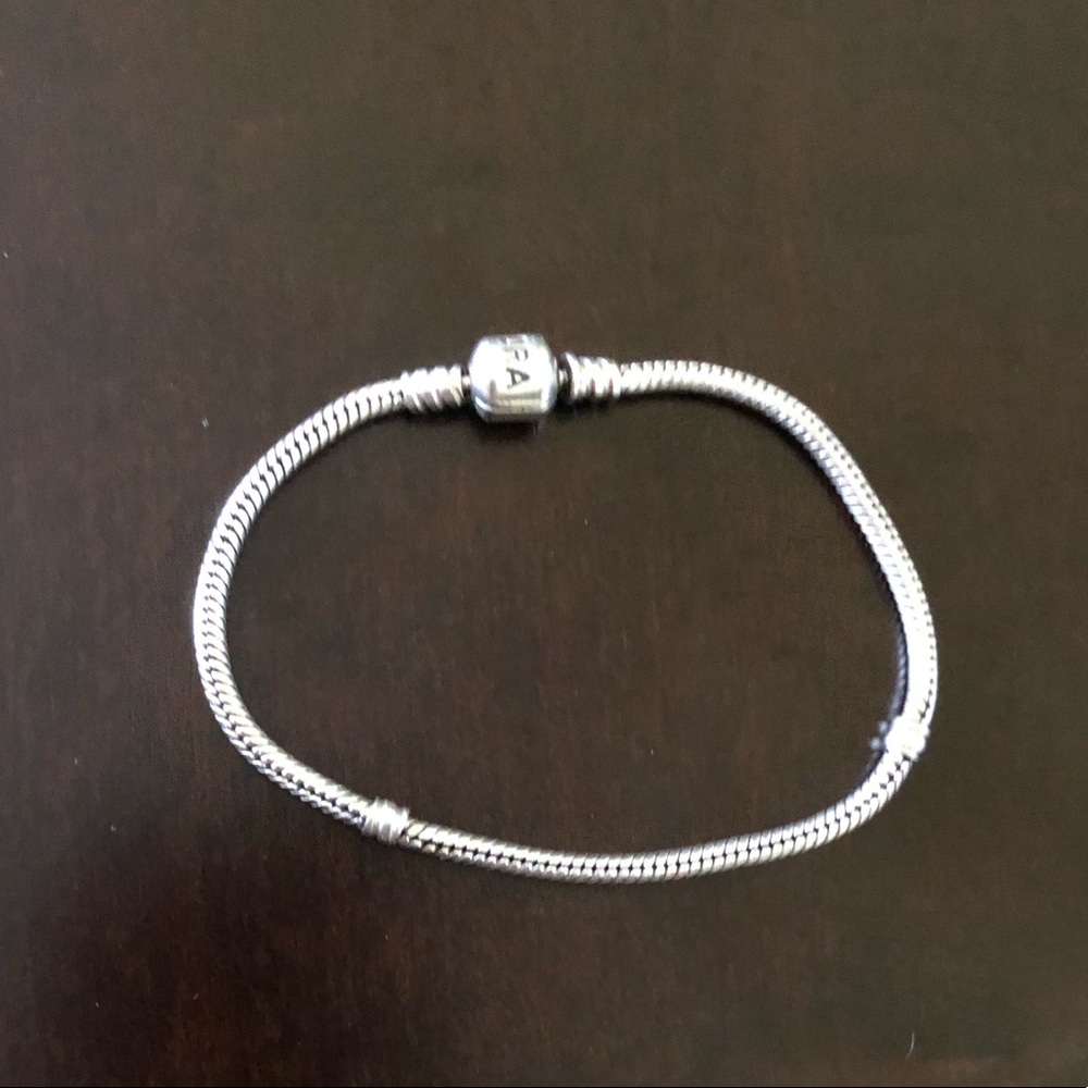 Pandora moments snake bracelet